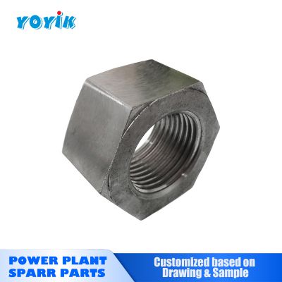 factory in China Air gap wind plate self-locking nut  Generator TQN-100-2 for Power plant material