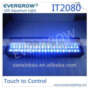 Evergrow IT2060 dimmable aquarium LED lighting
