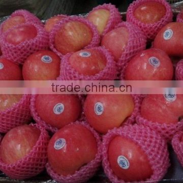 Fresh Style and Apple Type fresh apple for sale