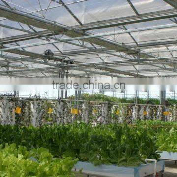Agricultural Greenhouses For Soilless Hydroponics