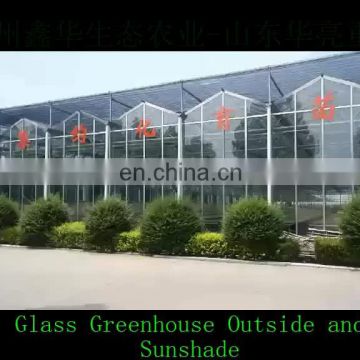 Durable Galvanized greenhouse steel Structure Venlo glass greenhouse with irrigation system