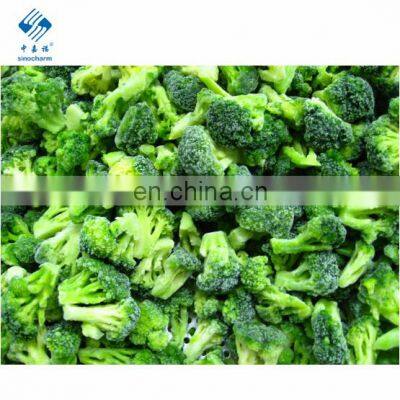 Worm Free X ray Inspected Frozen Chinese Broccoli Floret Cut with SGS Testing Reports