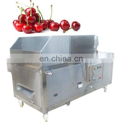 Commercial Moldova Ukraine Romania Cherry Hawthorn Apricot Peach Jujube Apple Quince Plum Core Removing Machine