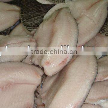 IVP FROZEN TILAPIA FILLET FISH