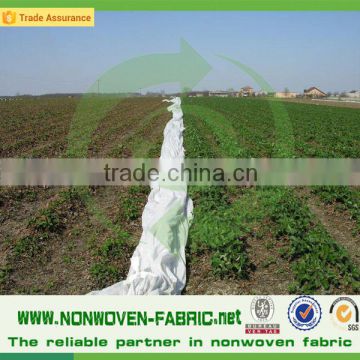 Agriculture Use Biodegradable 100% PP Spunbond Nonwoven Fabric