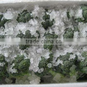 supply frozen broccoli