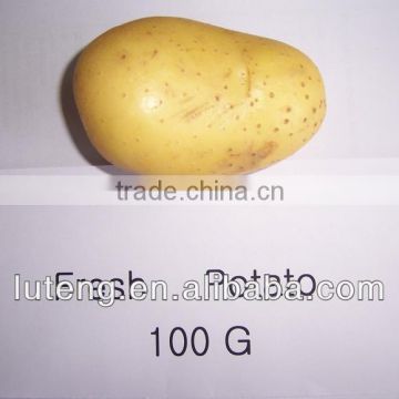 2013 fresh potato with best price for America market