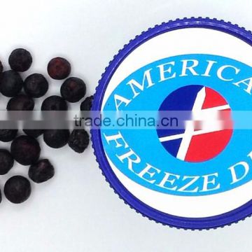 Freeze Dried Whole Blueberry, Large or Small- Emergency Survival Dried Food