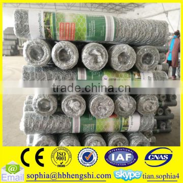 high quality lowest price chicken wire mesh for sale
