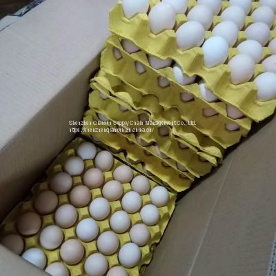 Fresh Eggs for Hong Kong Market