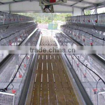 low cost steel poultry shed