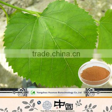 Mulberry Extract 10:1/ 1-dnj mulberry leaf extract/ In Health&Medical