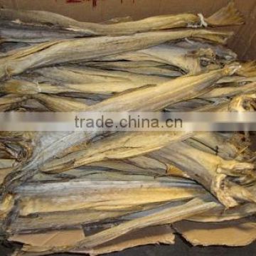 Dried stockfish/ Norway stockfish