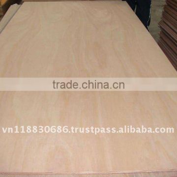 Packing plywood-manufacturer VietNam