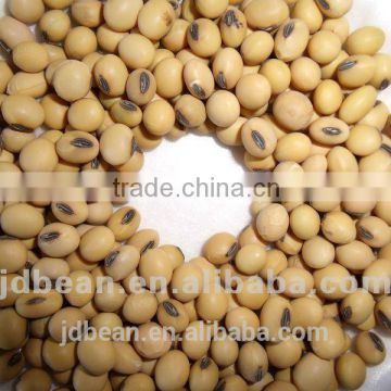 500g vacuum packing organic soybean for soy milk hot sale for supermarket