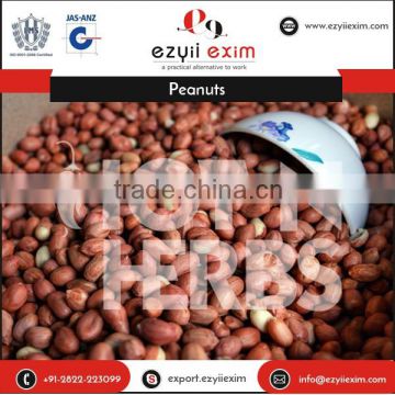 Genuine Supplier of Best Quality Peanuts at Low Market Rate