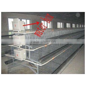 poultry farm layer chicken cage