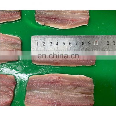 Good price frozen HGT clean sardine fish fillet