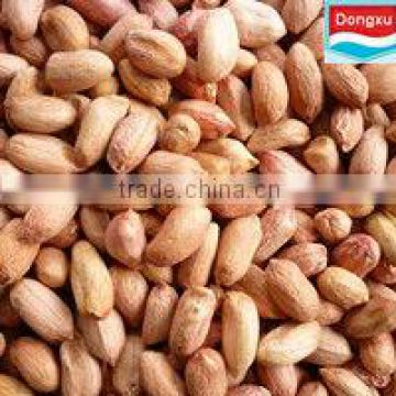 peanut kernel long type 28/32