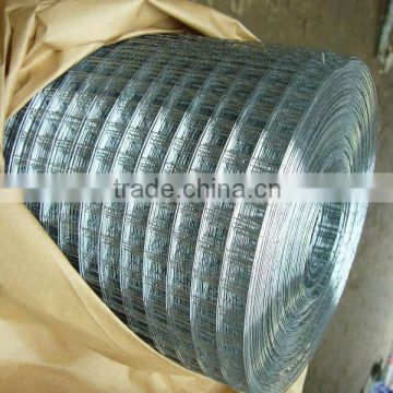 Galvanized Welded Wire Mesh Roll (factory direct export) Low Price , Hot Sale !!!