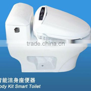 Intelligent Automatic Toilet Seat/Warm water washing +Adding medicine for physical therapy