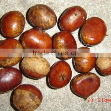 2013 new crop fresh chestnut for sale