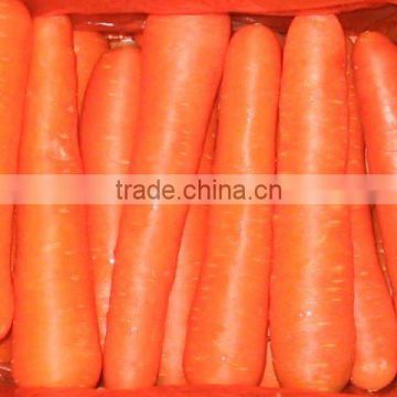 Supply low price Chinese fresh red Carrot