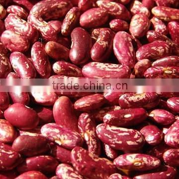 red specked kidney beans