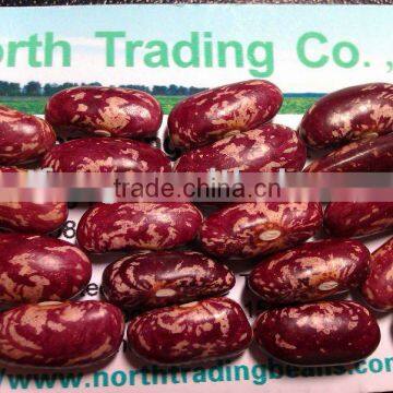 Purple Speckled Kidney Beans( 2010 crop, Heilongjiang Origin, Hps)