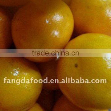 Chinese Fresh Orange for Sale