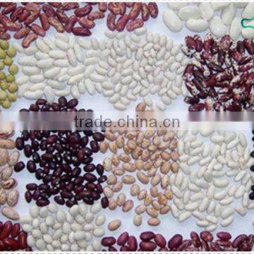 Non-Gmo pulses, all kinds of kidney beans