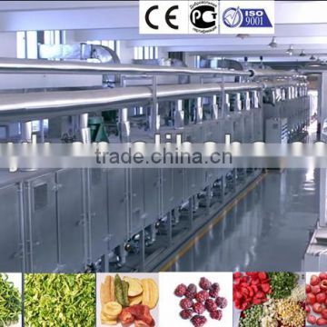 20m stainless steel mesh belt commercial tropical fruits and vegetables dehydrator/drying machine/dryer hot selling in Singapore