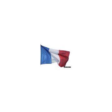 France flag