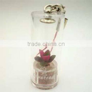 Miniplant "stone rose" mini succulent plant with mobile phone strap