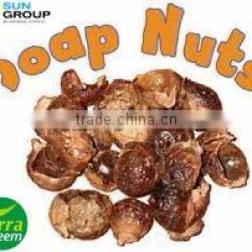 100% Natural Soapnut Extract