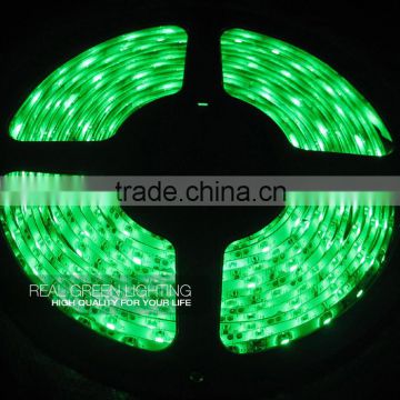 12V /24V Green SMD 5050 Waterproof Garden Decoration Cuttable LED Strip Light