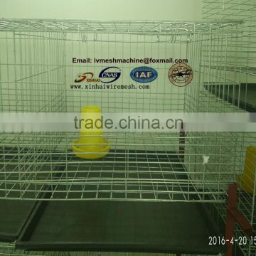 CN manufacture wholesale Automatic chick cage for chicken farming