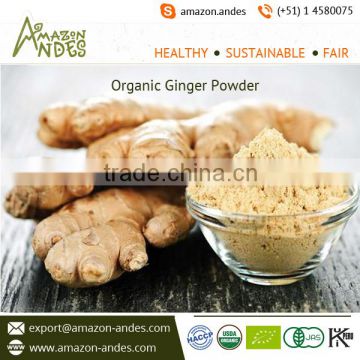 Optimum Viscosity Eco-Friendly Ginger Powder with High Purity at Wholesale Price