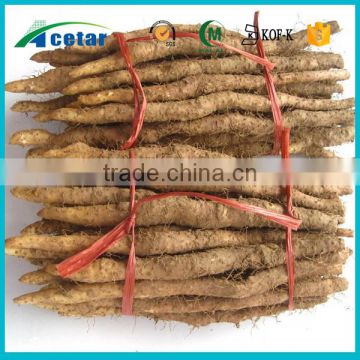 with Kosher, Halal, FDA registered chinese yam extract benefits health care