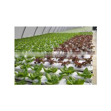 PVC Hydroponic Channels for strawberry growing