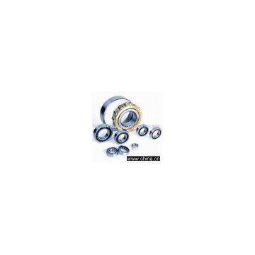 Cylindrical Roller Bearings