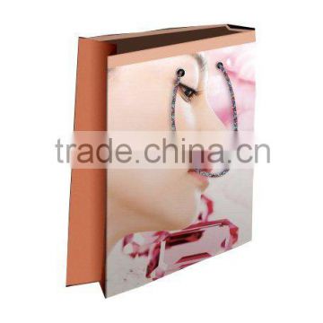 2011 gift paper bags for cosmetic