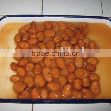 canned broad beans in brine (foule medames)