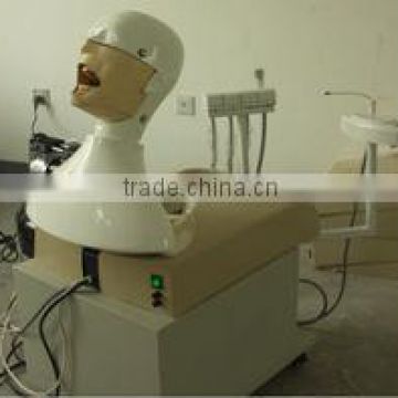 Hot Sale Professional Dental Simulator