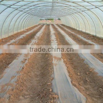tunnel greenhouse for Afica