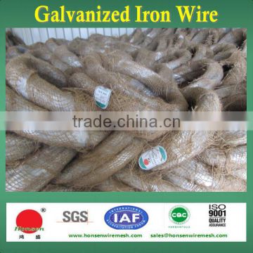 Anping Factory for Electro Galvanized Iron wire