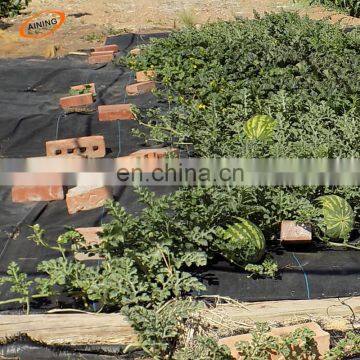 100 gsm Ground Cover Agricultural Weed Control Mat for Gardens