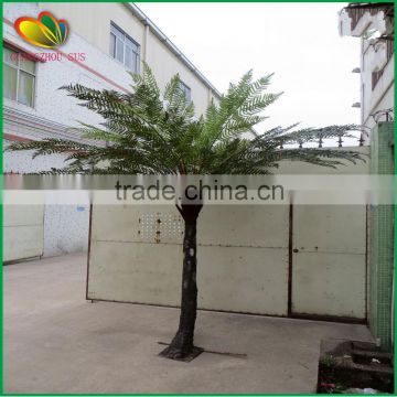 wholesale indoor decoration fiberglass artificial Cyathea spp tree plastic artificial tree fern
