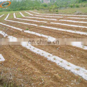 Mulch plastic PE greenhouse covering film, PE protection greenhouse mulching film