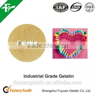Industrial Grade Gelatin for Match Head
